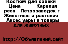 Костюм для собаки › Цена ­ 700 - Карелия респ., Петрозаводск г. Животные и растения » Аксесcуары и товары для животных   